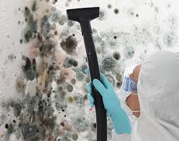 Best Industrial Mold Remediation  in Wmington, IL